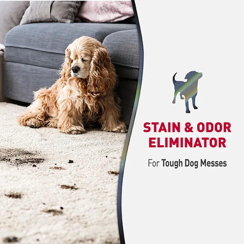 Advanced Stain and Odor Eliminator for Dogs - 32oz