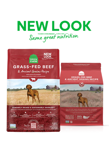 Open Farm Grass-Fed Beef & Ancient Grains Dry Dog Food