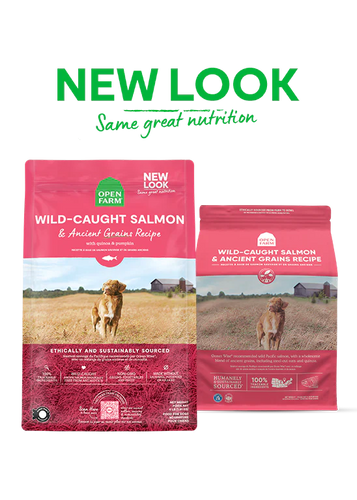 Open Farm Wild-Caught Salmon & Ancient Grains Dry Dog Food