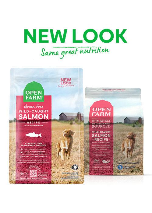 Open Farm Wild-Caught Salmon Grain-Free Dry Dog Food