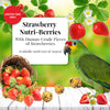 Lafeber LIMITED EDITION Strawberry Nutri-Berries for Parrots - 10oz