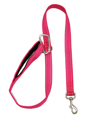 BAYDOG HUDSON LEASH 6' - PINK