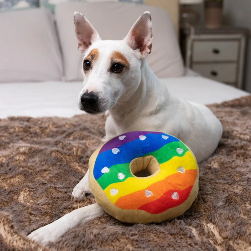 PRIDE DONUT DOG TOY SMALL