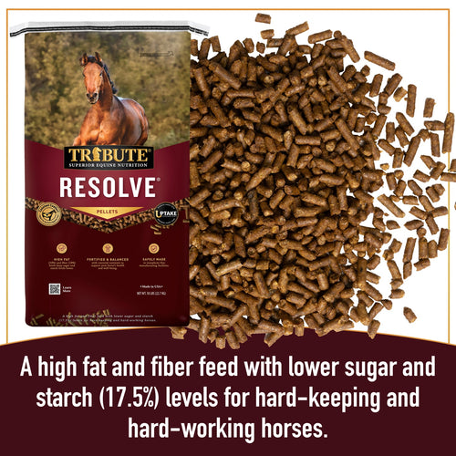 TRIBUTE Resolve®, Pelleted, Low NSC, High Fat, High Fiber Feed - 50lb
