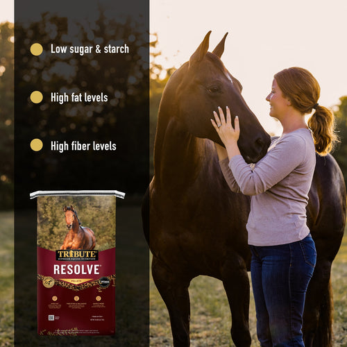 TRIBUTE Resolve®, Pelleted, Low NSC, High Fat, High Fiber Feed - 50lb