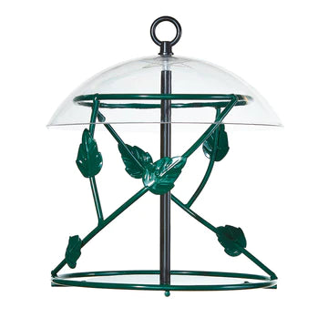 Hanging Seed Cylinder Bird Feeder in Green