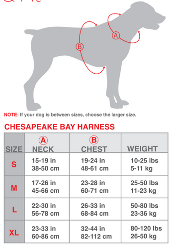 BAYDOG CHESAPEAKE HARNESS BLUE -MEDIUM