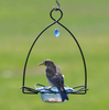 BLUEBIRD FEEDER FLOWER SHAPE FOR MEALWORMS AND DRIED FRUIT