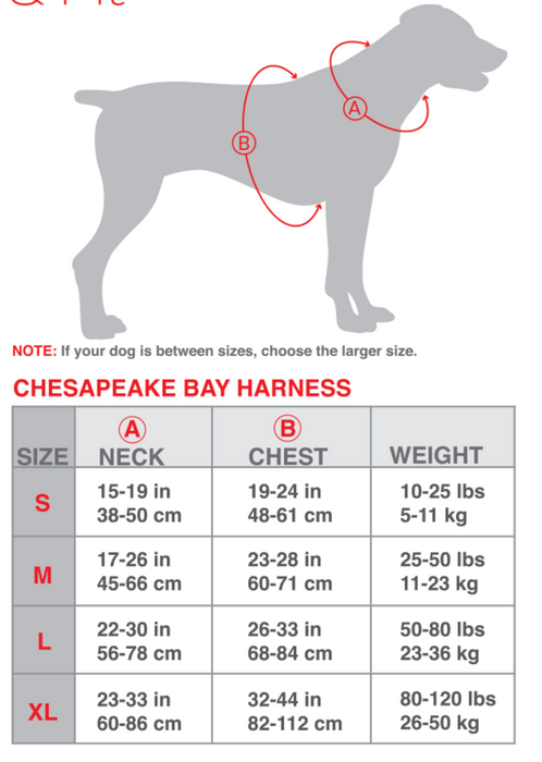BAYDOG CHESAPEAKE BAY DOG HARNESS -SEA FOAM X-LARGE