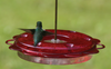 HUMMERFEST HUMMINGBIRD FEEDER FOR 12 OZ. NECTAR WITH 6 NECTAR PORTS