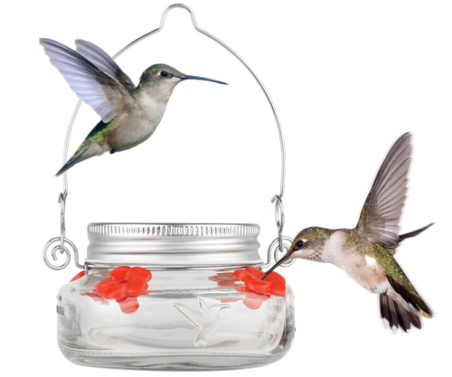 Nature's Way Mason Jar Hummingbird Dish Feeder, Clear 4.5 diameter