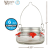 Nature's Way Mason Jar Hummingbird Dish Feeder, Clear 4.5 diameter
