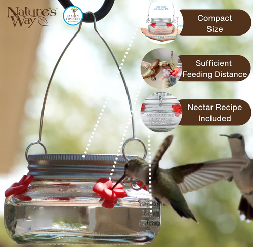 Nature's Way Mason Jar Hummingbird Dish Feeder, Clear 4.5 diameter