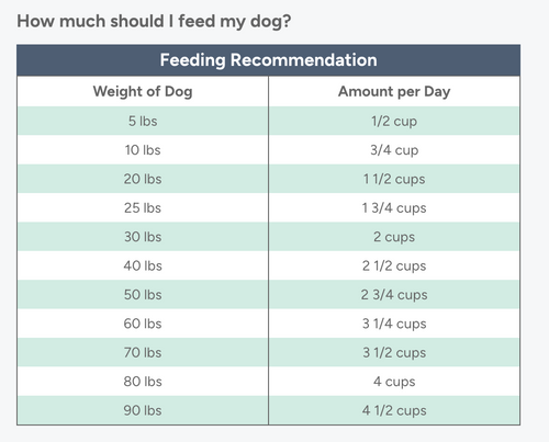 Dr. Marty's Nature's Blend Essential Wellness Premium Freeze-Dried Raw Dog Food - 48oz.