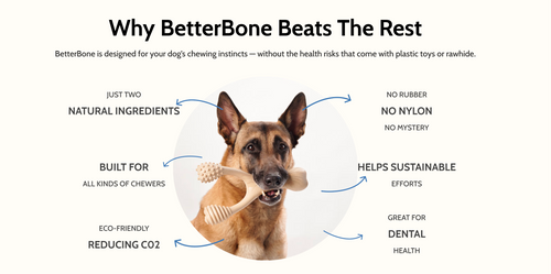 BetterBone Medium Density - Mini Natural Beef