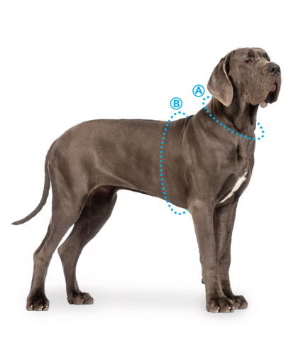 Li'l Pals Comfort Mesh Dog Harness