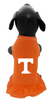 Tennessee Volunteers Orange Cheerleader Dog Dress