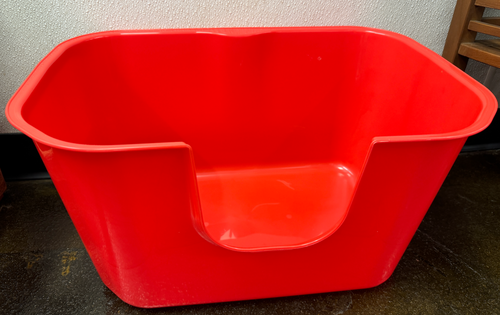 Cat Poop Outside Litter Tray Cat Is Peeing Outside Of Box NVR Miss