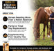TRIBUTE Equi-Librium™ Senior Horse Feed - 50lb