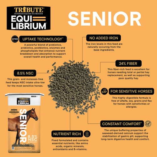 TRIBUTE Equi-Librium™ Senior Horse Feed - 50lb