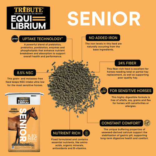 TRIBUTE Equi-Librium™ Senior Horse Feed - 50lb