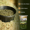 TRIBUTE Seniority® Low NSC (10%), Horse Feed - 50lb