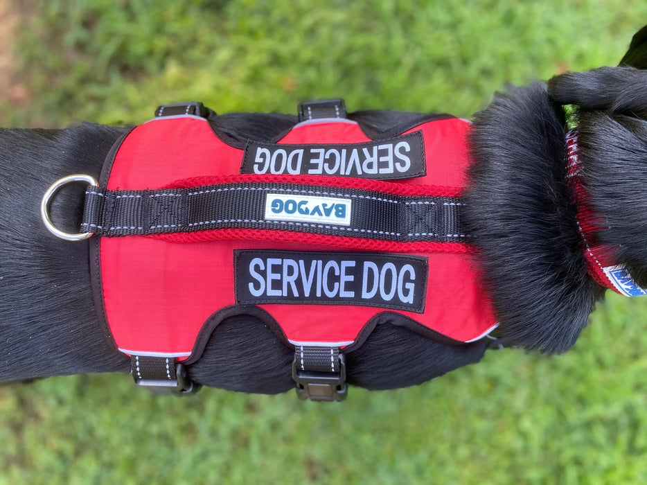 BAYDOG SERVICE DOG HARNESS - LARGE