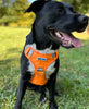 Tennessee Volunteers Dog Harness - Extra Large