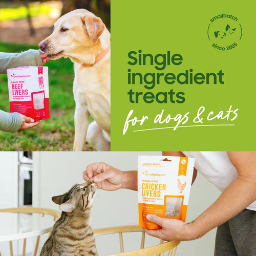 SmallBatch Pet Freeze-Dried Bison Liver Treats - 3oz
