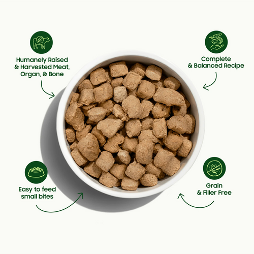 Small Batch Pet Freeze-Dried Chicken Meal Bites for Cats - 10oz