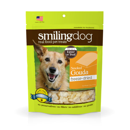 Can Dogs Have Smoked Gouda Cheese? What Every Owner Should Know