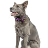 Summer Icons Bow Tie - Large