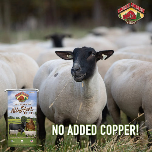Sweet Country 12% All Stock Sweet Feed - 50lb