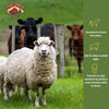 Sweet Country 12% All Stock Sweet Feed - 50lb