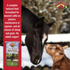 Sweet Country 12% All Stock Sweet Feed - 50lb