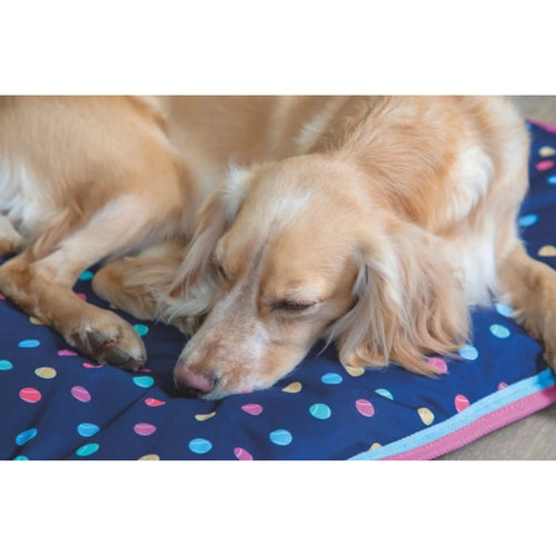 Digby & Fox Waterproof Padded Dog Bed - 24 x 31
