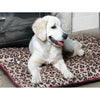 Digby & Fox Waterproof Padded Dog Bed - 24 x 31