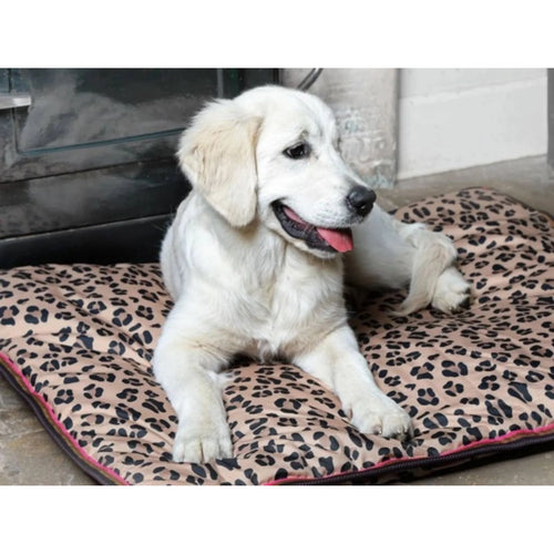 Digby & Fox Waterproof Padded Dog Bed - 24 x 31