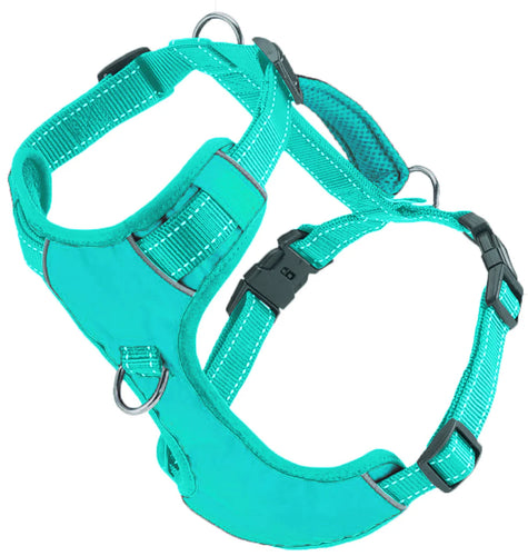 BAYDOG CHESAPEAKE HARNESS - SEA FOAM SMALL