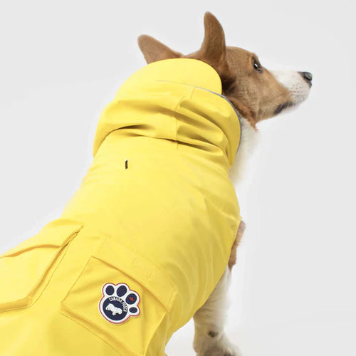 Canada Pooch Yellow Torrential Tracker 14