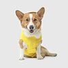 Canada Pooch Yellow Torrential Tracker 18