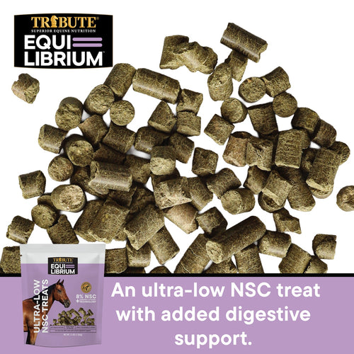 TRIBUTE Equi-Librium™ Horse Treats - 3lb