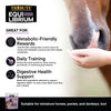 TRIBUTE Equi-Librium™ Horse Treats - 3lb