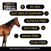 TRIBUTE Equi-Librium™ Horse Treats - 3lb