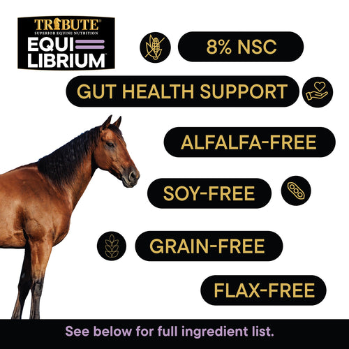 TRIBUTE Equi-Librium™ Horse Treats - 3lb