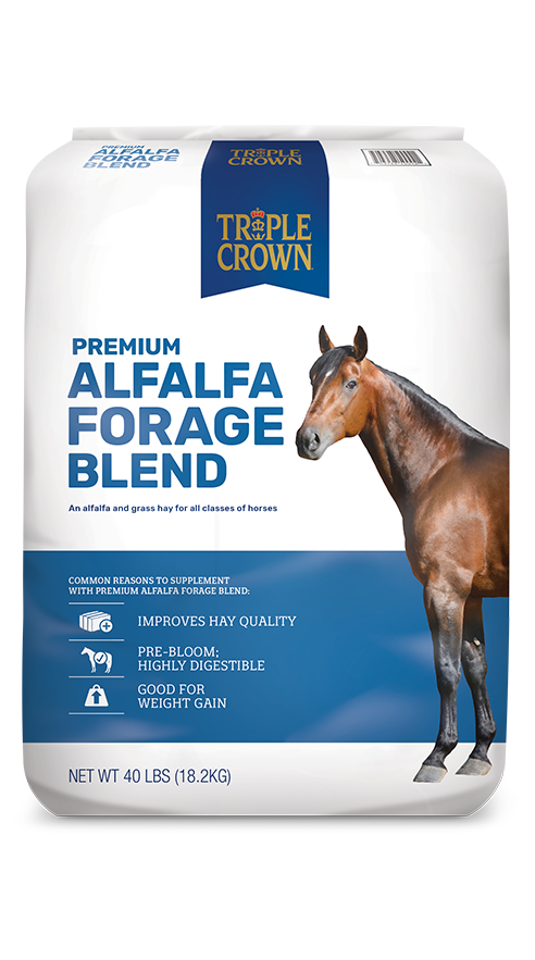 Triple Crown Alfalfa Forage Blend