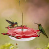 AspenPerch® Hummingbird Feeder - 8 oz
