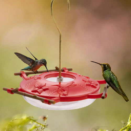 AspenPerch® Hummingbird Feeder - 8 oz