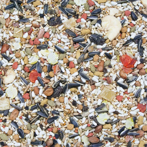 HIGGINS VITA SEED CONURE & LOVEBIRD - 5LB