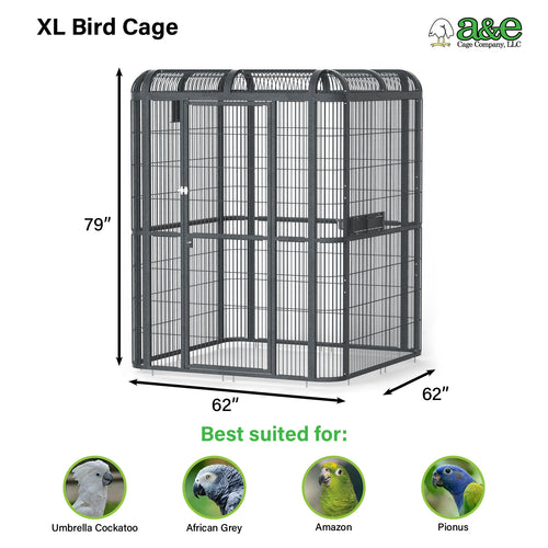 WALK-IN AVIARY 62x62 - BLACK
